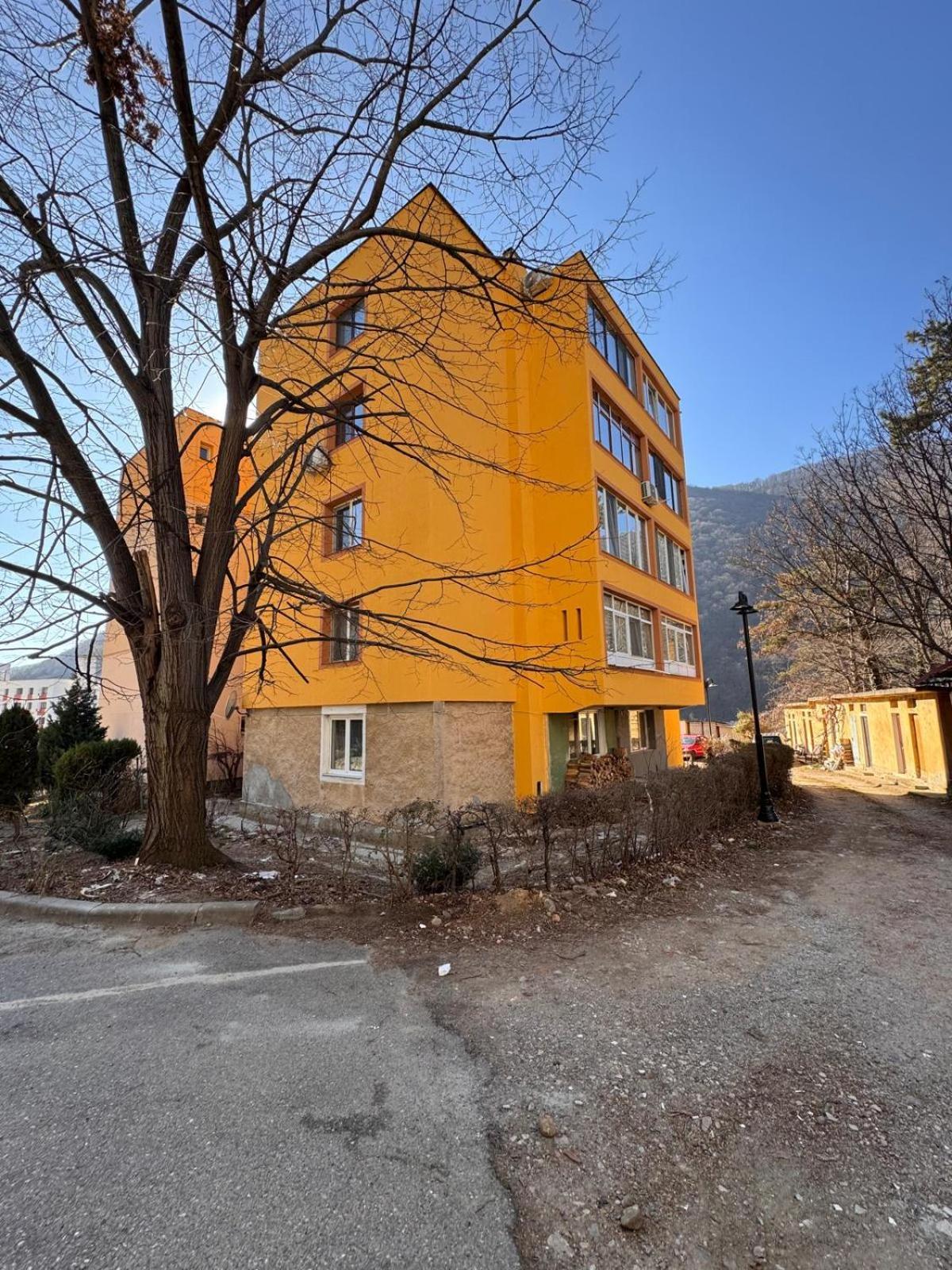 Linen Tree Apartment Băile Herculane Zewnętrze zdjęcie