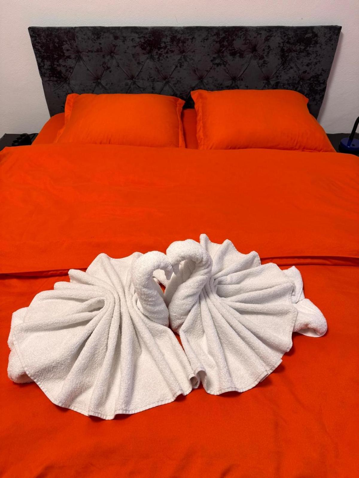 Linen Tree Apartment Băile Herculane Zewnętrze zdjęcie
